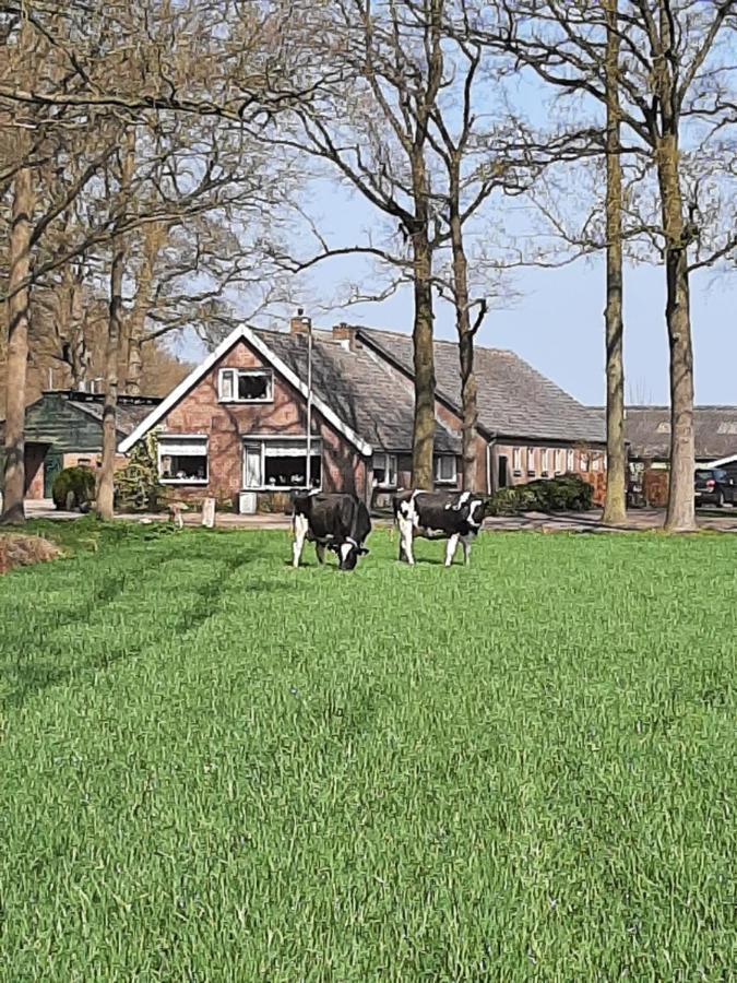 Hoeve De Laan Woudenberg Exterior foto